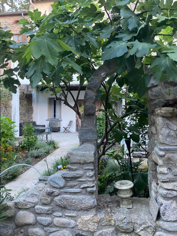 Sculptors Retreat Lejlighed Céret Eksteriør billede